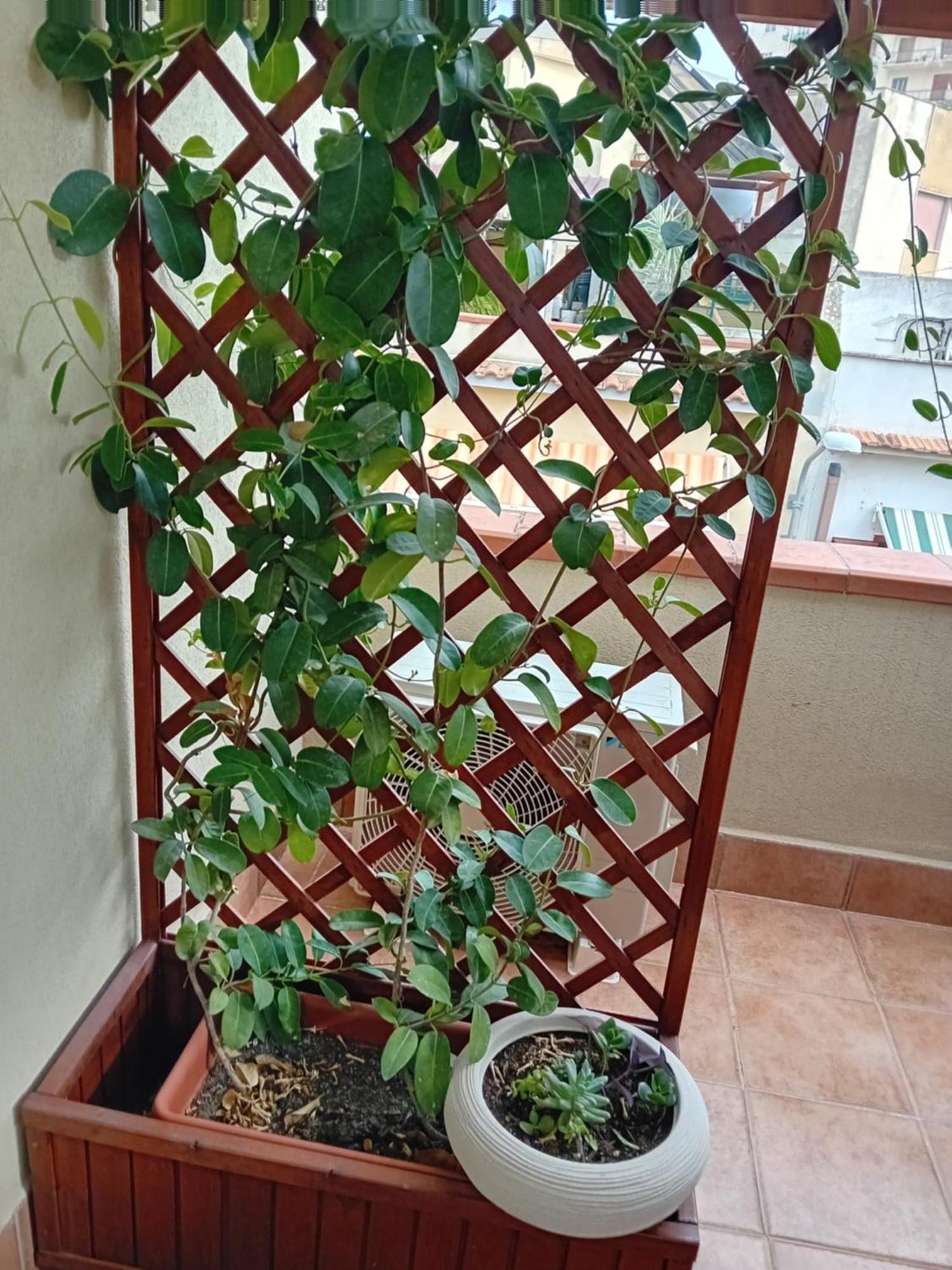 A Casa Tua Affitti Brevi Acomodação com café da manhã Noto Quarto foto